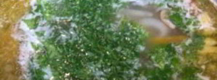 суп из белых грибов на курином бульоне. Шаг 6