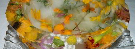 арбузный гаспачо в ледяной тарелке. Шаг 18