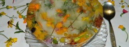 арбузный гаспачо в ледяной тарелке. Шаг 19