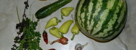 арбузный гаспачо в ледяной тарелке. Шаг 8