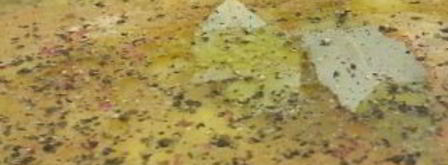 гороховый суп для похудения. Шаг 7