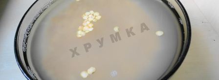 гороховый суп с копчеными ребрышками в мультиварке. Шаг 3