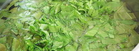 холодник со щавелем. Шаг 5