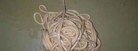 лагман со спагетти. Шаг 12