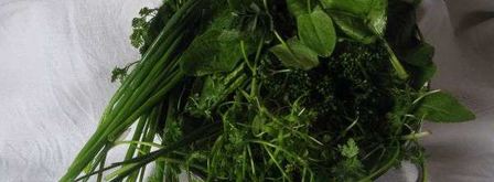 молочные супы. Шаг 5