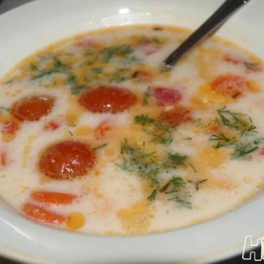 Суп из форели с плавленным сыром и овощами