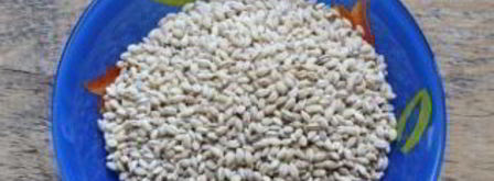 заправка для рассольника на зиму. Шаг 6