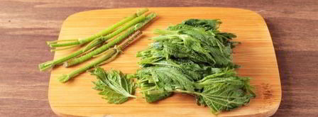 щи из крапивы с яйцом. Шаг 8