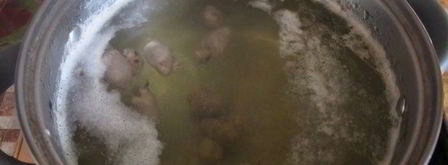 зеленые щи с потрошками. Шаг 3