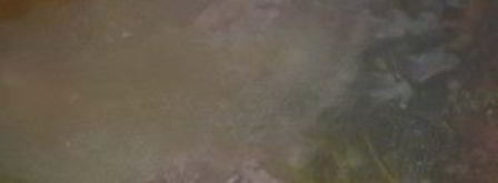 шурпа из гуся. Шаг 7