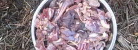 шурпа из зайца. Шаг 6