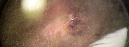 шурпа с нутом. Шаг 4