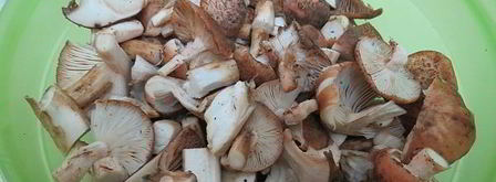 постная солянка с грибами и капустой. Шаг 4