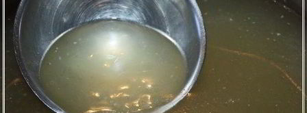 харчо из рыбы по принципу сулаквелидзе. Шаг 8