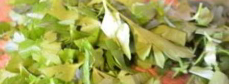 суп харчо оригинальный. Шаг 7