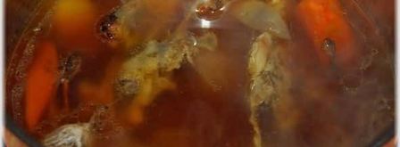 суп-пюре из тыквы с курицей и зеленым горошком. Шаг 19