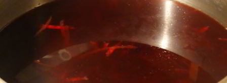 свекольник-холодняк с яйцом. Шаг 6