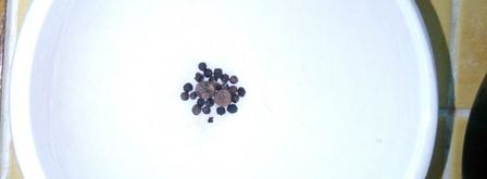 свекольник с говядиной. Шаг 6