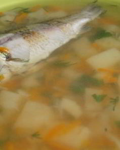 Классическая уха из карася