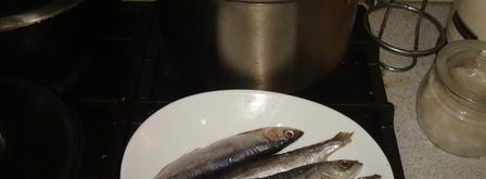 уха из ряпушки. Шаг 8