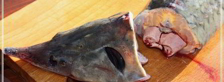 уха по-царски из петуха. Шаг 13