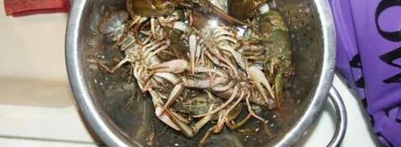 уха с раками и икрой. Шаг 12