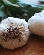 Зимний суп с чесноком и шалфеем