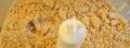 чизкейк без выпечки. Шаг 4