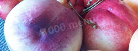 чизкейк сплошное наслажденье. Шаг 5