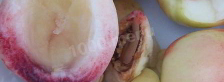 чизкейк сплошное наслажденье. Шаг 9