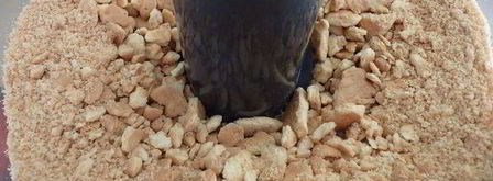 чизкейк в баночке. Шаг 3