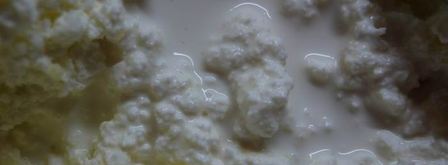 пряный чизкейк. Шаг 8