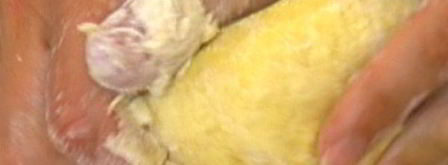 хворост. Шаг 3