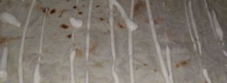 лаваш с грибами и сыром. Шаг 3