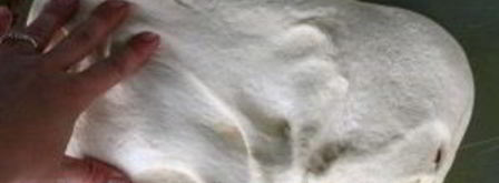 фокачча с маслинами и розмарином. Шаг 9