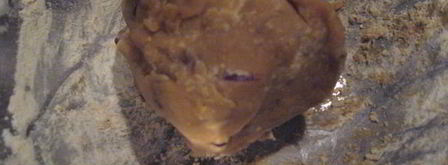 соевая лепешка с вешенками. Шаг 6