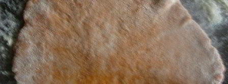 заварные томатные лепешки. Шаг 6