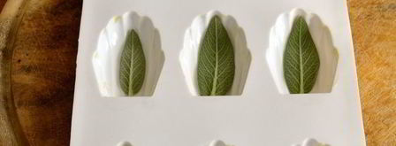 печенье мадлен с шалфеем. Шаг 6