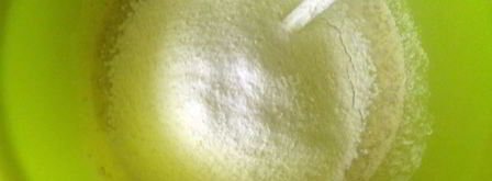 печенье подсолнечное. Шаг 5