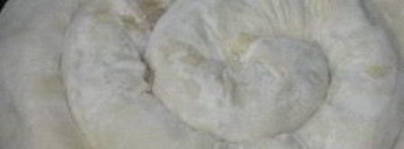 ачма абхазская. Шаг 3