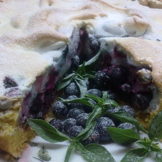 Рецепт пирога с черной смородиной