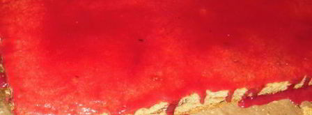 песочное пирожное малинка. Шаг 12