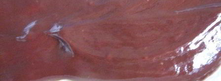 пирожное без выпечки. Шаг 6