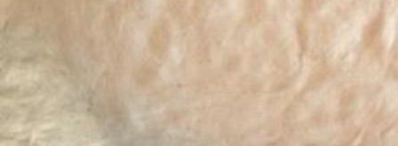 пицца с моцареллой и томатным соусом. Шаг 5