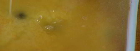 лимонная шарлотка с голубикой. Шаг 11