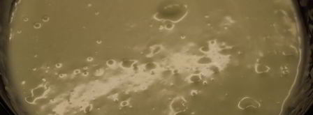 шарлотка с английским ванильным кремом. Шаг 17