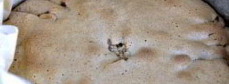 шарлотка с яблоками. Шаг 6