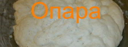 дрожжевое опарное тесто. Шаг 7