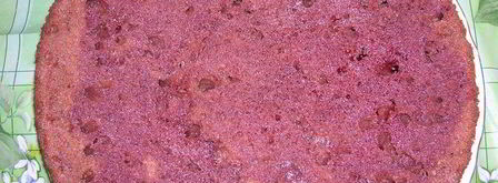 торт пражская весна. Шаг 3