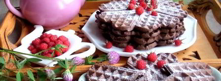 шоколадные вафли с кокосом. Шаг 17